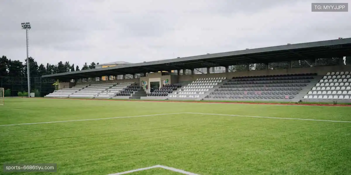 🌟个性设计，让你的运动装备与众不同！✨